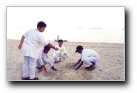 Group 3s buidling sand castles at East Coast Beach - Click to enlarge